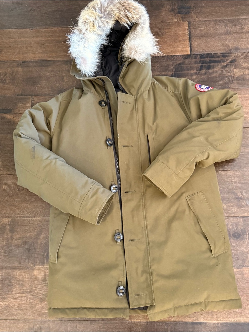 Canada Goose Chateau Parka — Vintage — Military Green — Size Large — Coyote Fur